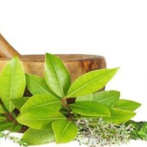 Medicina verde