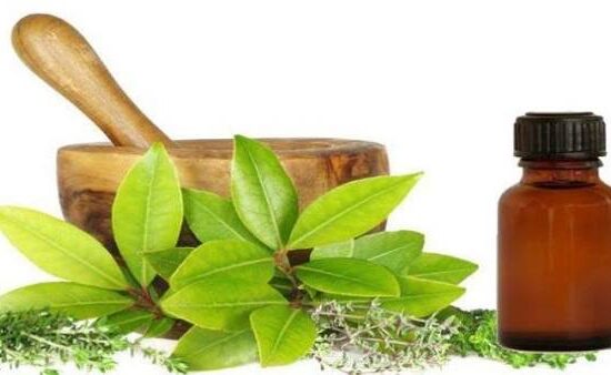 Medicina verde