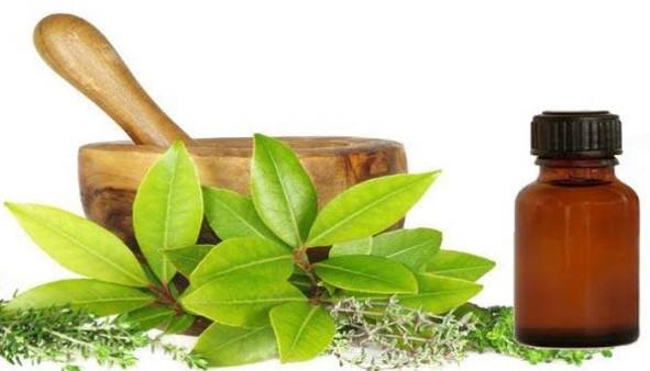 Medicina verde