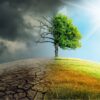 Cambiamenti climatici ed ecosistemi locali