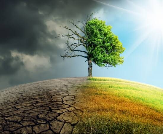 Cambiamenti climatici ed ecosistemi locali