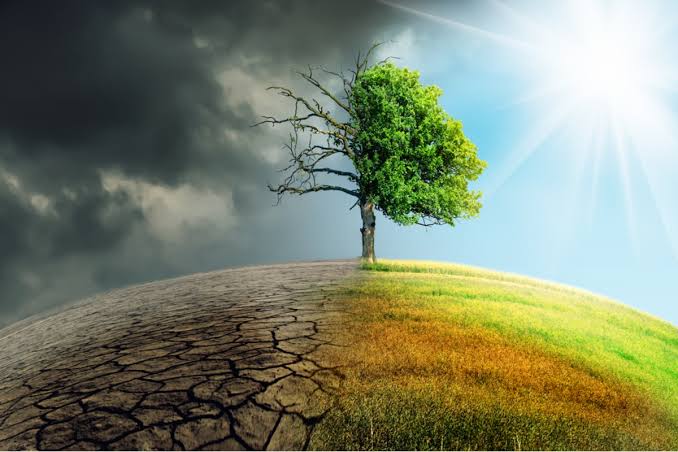 Cambiamenti climatici ed ecosistemi locali